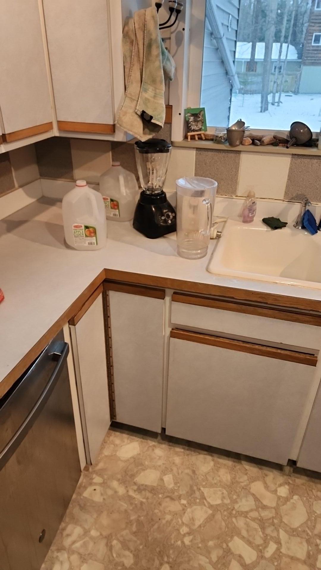 Mold Remediation