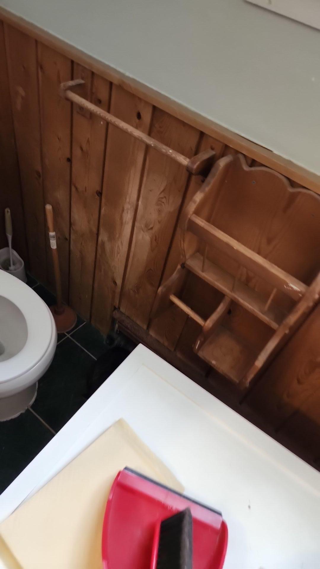 Mold Remediation