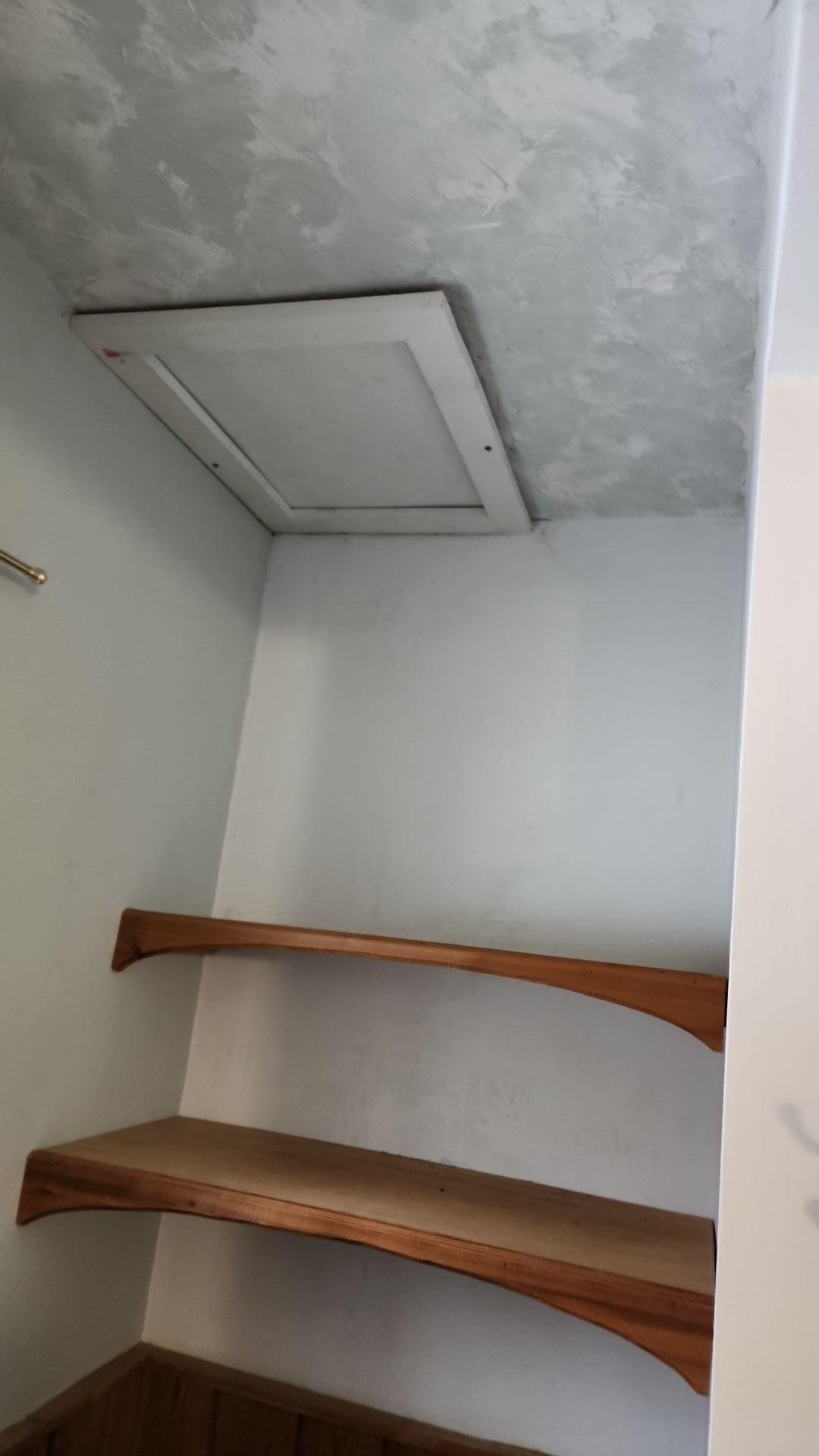 Mold Remediation