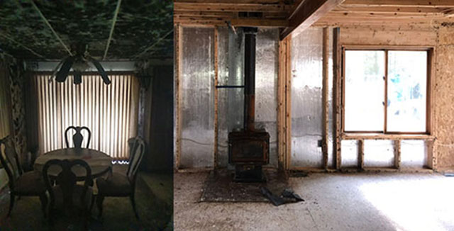 Mold Remediation