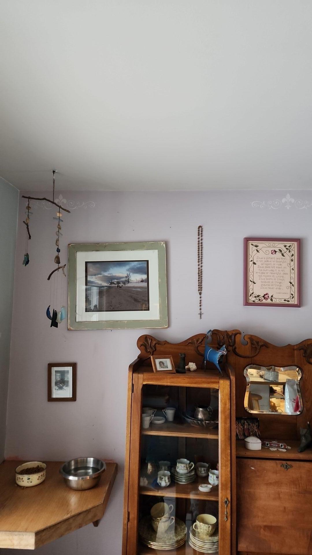 Mold Remediation