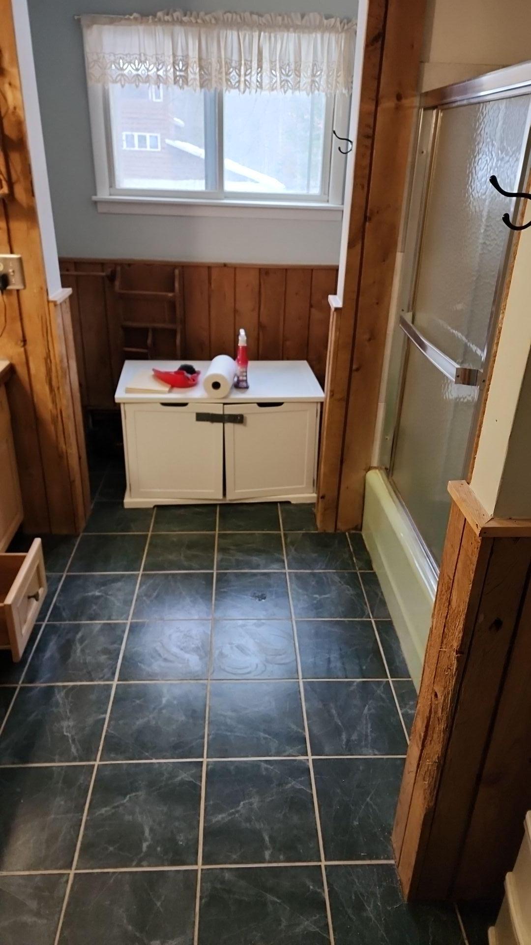 Mold Remediation
