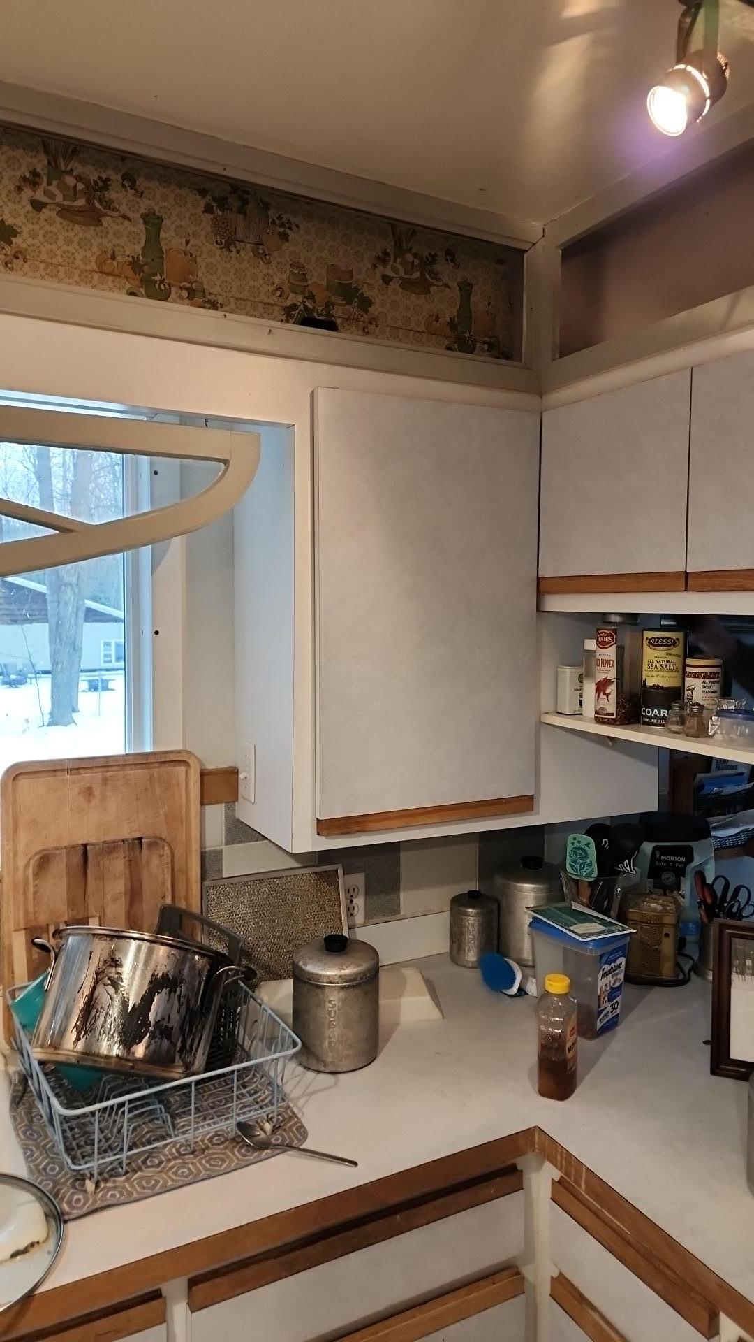 Mold Remediation