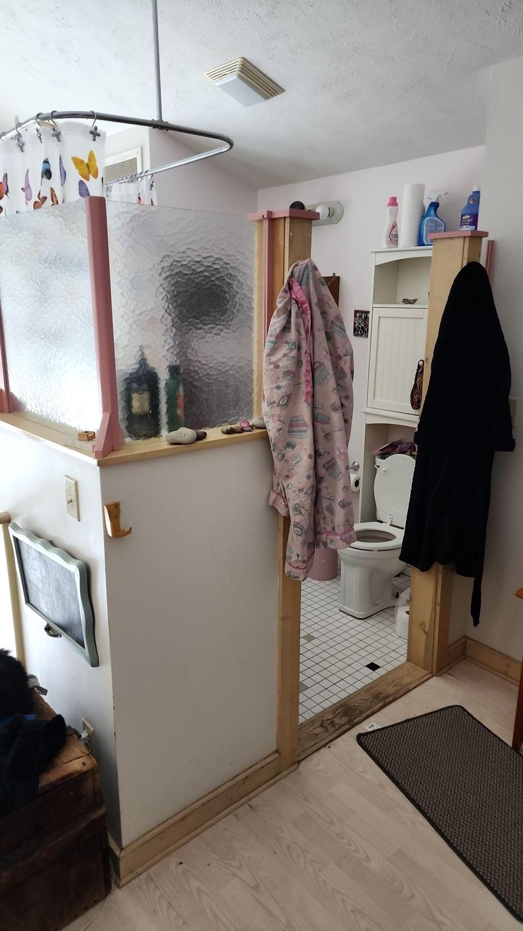 Mold Remediation